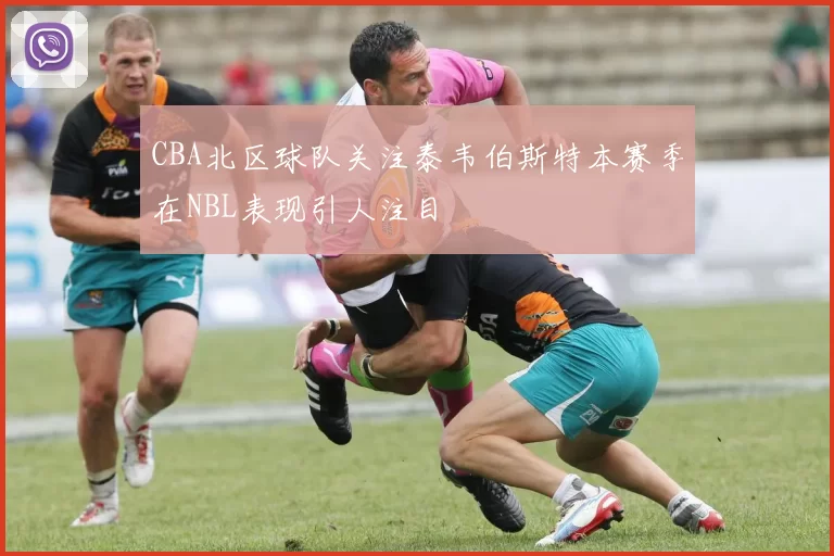 CBA北区球队关注泰韦伯斯特本赛季在NBL表现引人注目