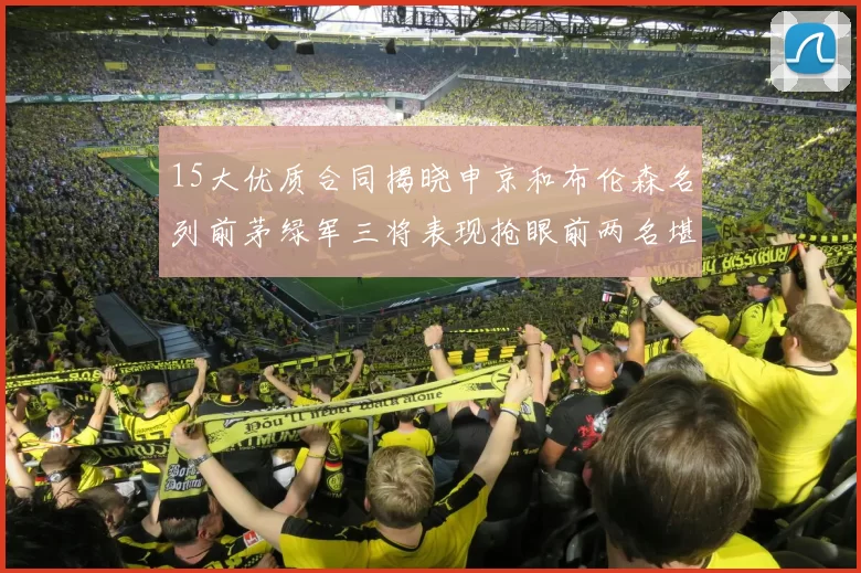 15大优质合同揭晓申京和布伦森名列前茅绿军三将表现抢眼前两名堪称传奇